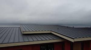 Roof Coating Services in Des Arc, AR